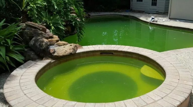 before-pool