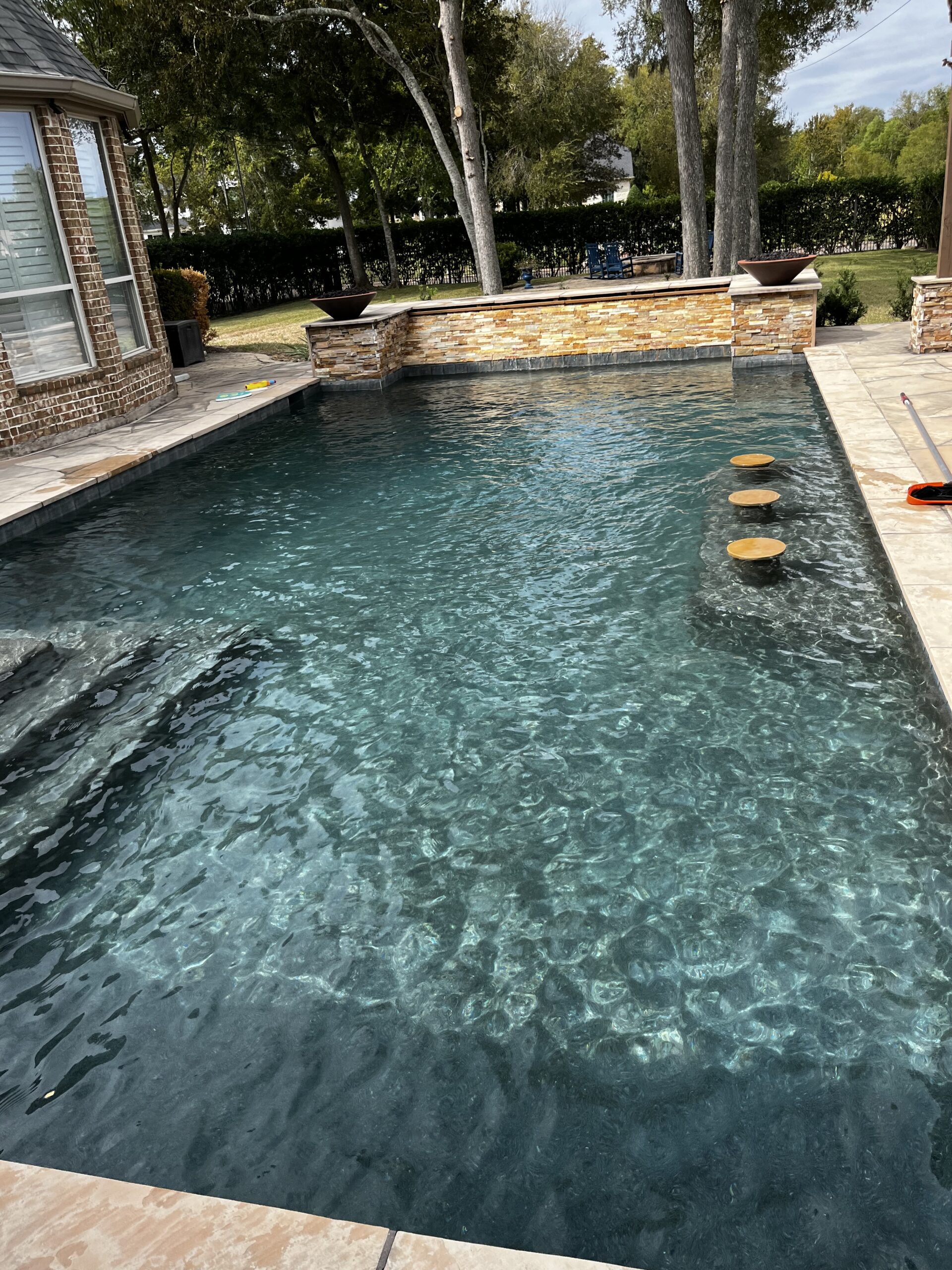 Professionally Cleaned Swimming Pool